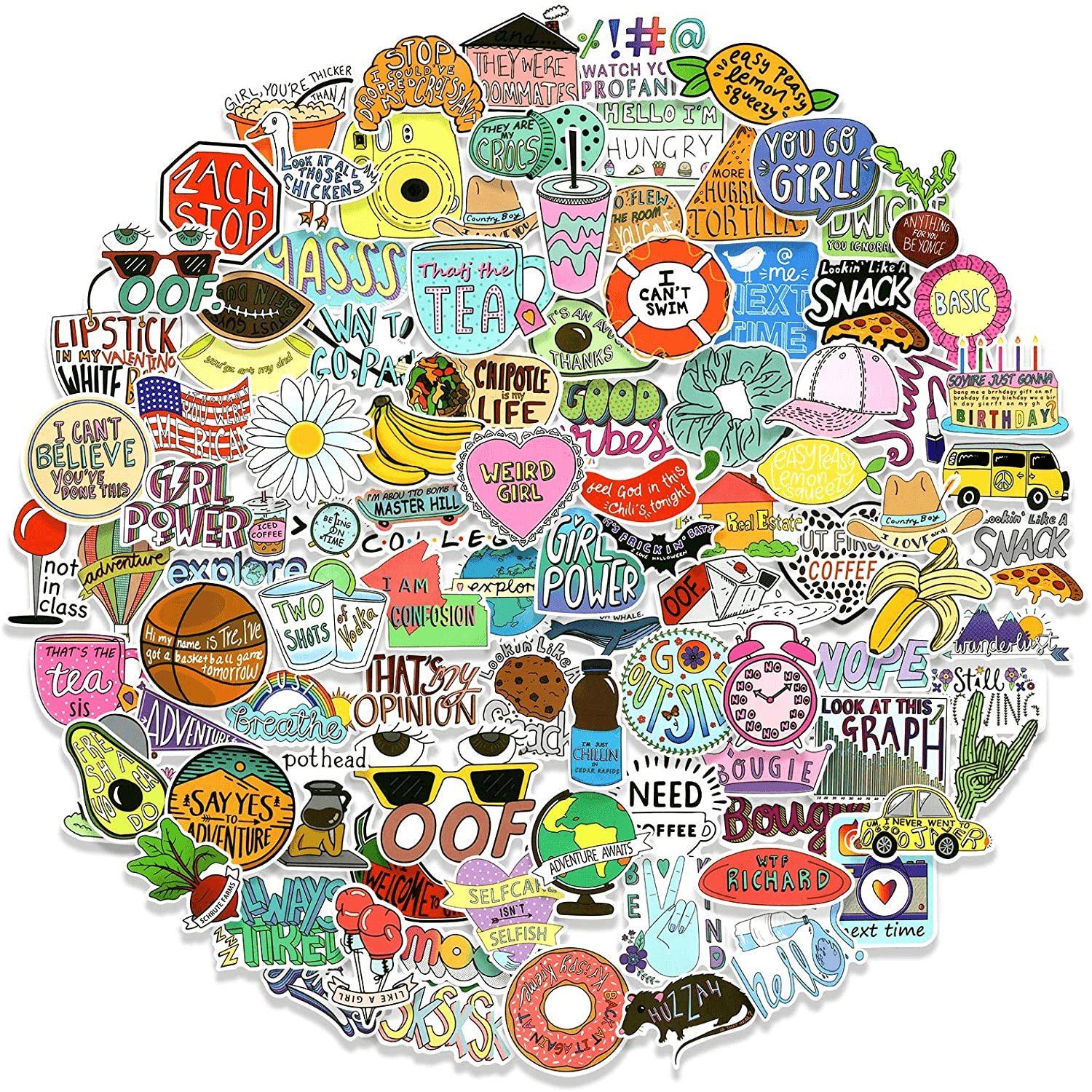 100 PCS Funny Vine Stickers