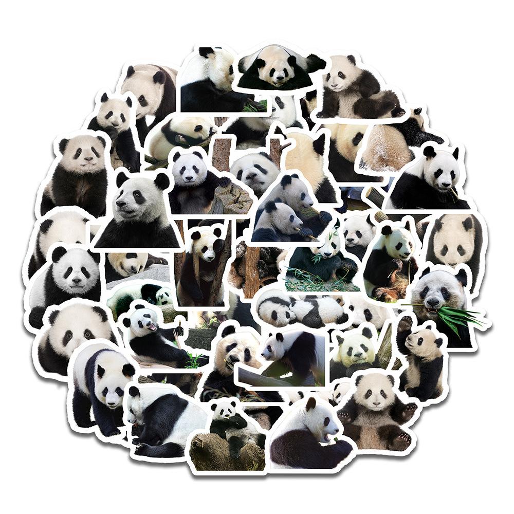 50 PCS Super Cute Panda Emoji Graffiti Luggage Laptop Phone Decorative Stickers