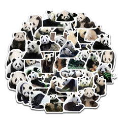 50 PCS Super Cute Panda Emoji Graffiti Luggage Laptop Phone Decorative Stickers