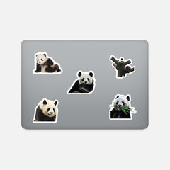 50 PCS Super Cute Panda Emoji Graffiti Luggage Laptop Phone Decorative Stickers