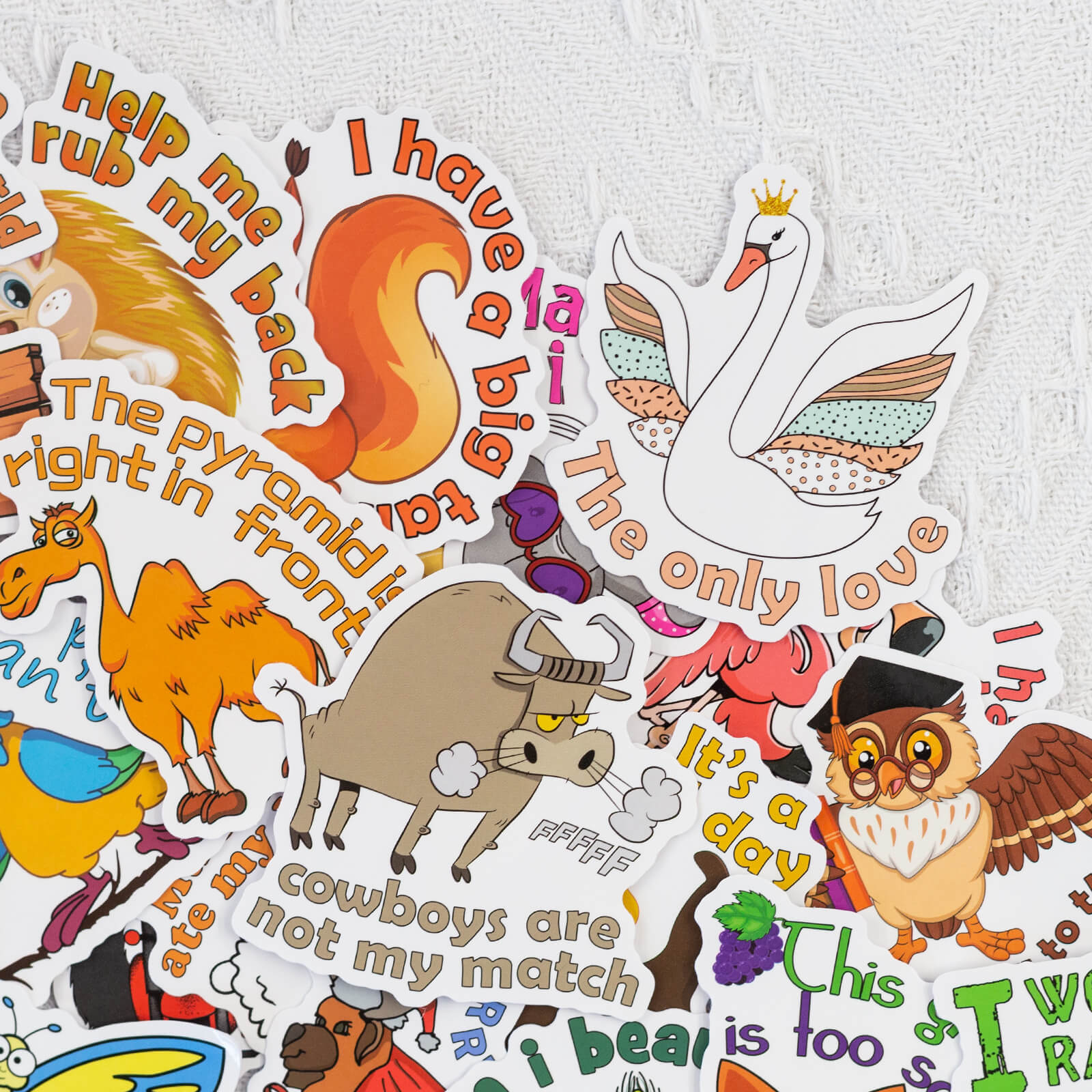 50 Pcs Cartoon Animal Language Stickers Personalized Decals for Laptop Luggage
