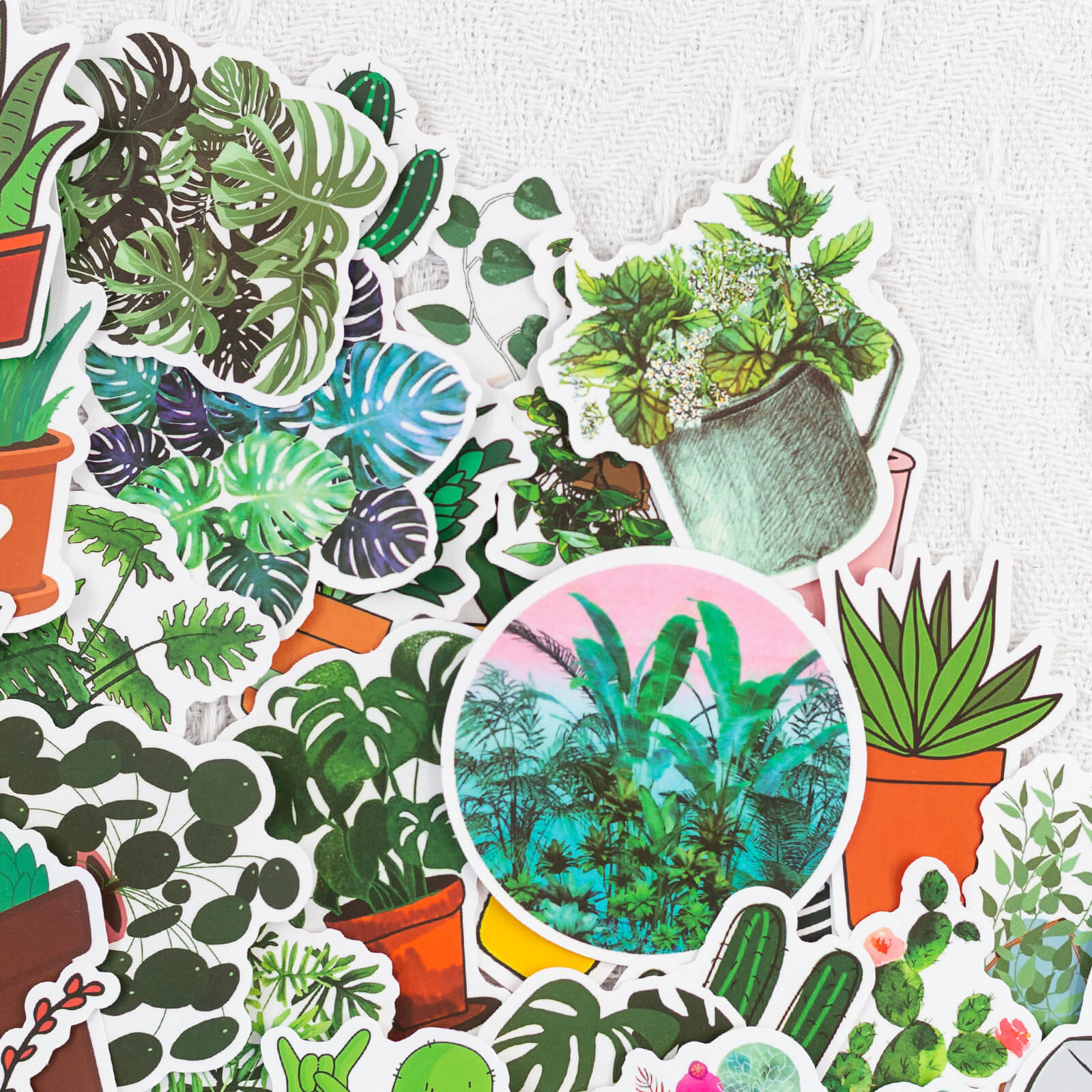 50 Pcs Girl Super Cute Watercolor Cactus and Succulent Plants Stickers