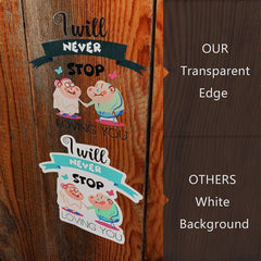 50 PCS Transparent stickers