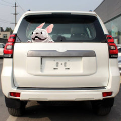 Bulldog Outdoor Rated Vinyl Sticker Decal for Windows Bumpers (3 PCS)