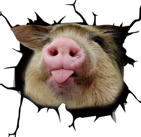 Funny Pig Waterproof Creative Car Window Decal Animal Vinyl Sticker